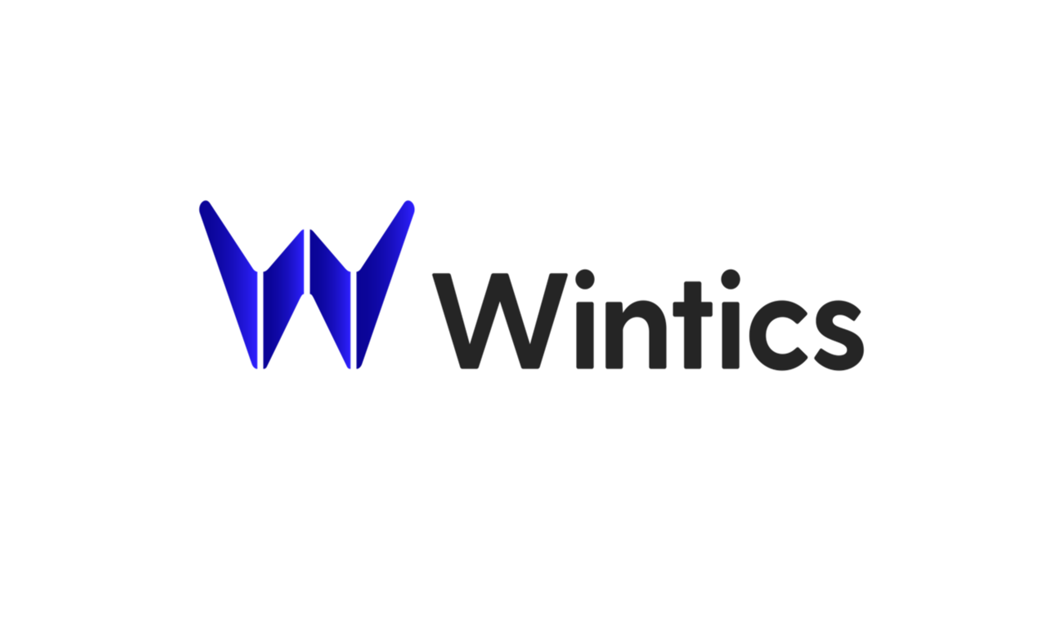 Immagine Sito: Wintics